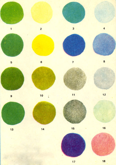 Основные цветовые вариации волнистых попугайчиков: 1 - светло-зеленый; 2 - светло-желтый; 3 - голубой; 4 - белый с голубым оттенком; 5 - темно-зеленый; 6 - темно-желтый; 7 - темно-синий; 8 - белый с темно-синим оттенком; 9 - оливковый; 10 - оливково-жел-тый; 11 -серо-синий; 12 - белый с серо-синим оттенком; 13 - серо-зеленый; 14 - серо-желтый; 15- серый; 16 - белый с серым оттенком; 17 - фиолетовый; 18 - белый с фиолетовым оттенком