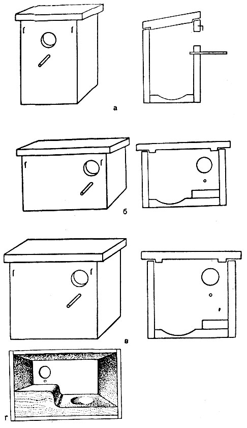 Рис. 5. Гнездовье: а - вертикальное; б - горизонтальное; в - компромиссное; г - вид внутри