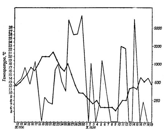 Рис. 44. Зависимость между температурой и перелетным беспокойством у серой славки (Sylvia с. communis Lath.). (Из Меркеля 1940.) О-О температура; ------ перелетное беспокойство