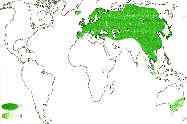 Карта 2. Ареал полевого воробья: 1 - естественное расселение; 2 - искусственно заселенные территории