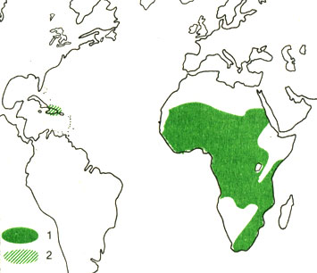 Карта 7. Ареал большого маскового ткача: 1 - естественное расселение; 2 - искусственно заселенные территории