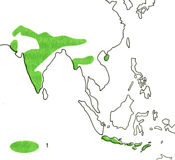 Карта 14. Ареал тигрового астрильда (1)