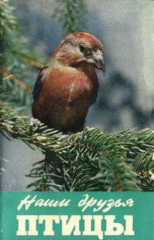 Наши друзья птицы. Комплект открыток. Выпуск первый