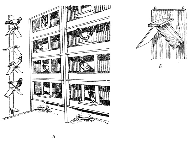 Рис. 6. Внутренний вид голубятни (а) и полочка для отдыха (б)