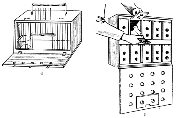 Рис. 13. Транспортировочные клетки: а - для перевозки диких голубей; б - для перевозки домашних голубей