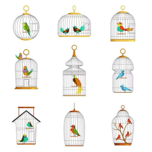 https://ru.freepik.com/premium-vector/bird-cages-with-different-birds-set-of-illustrations_9643319.htm#query=%D0%BA%D0%BB%D0%B5%D1%82%D0%BA%D0%B0%20%D0%BF%D1%82%D0%B8%D1%86%D1%8B&position=14&from_view=search&track=ais